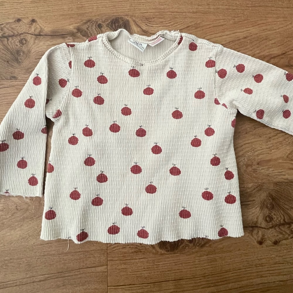 Zara Textured Long Sleeve Apple Shirt